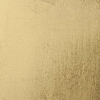 Złoto w płatkach 22KT 14gr - 25 płatków