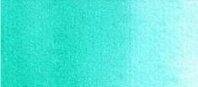 Turquoise Green