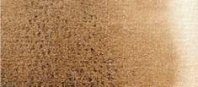 Burnt Umber