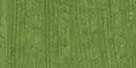 Green dragon