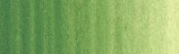 Terre Verte