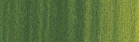 Sap Green